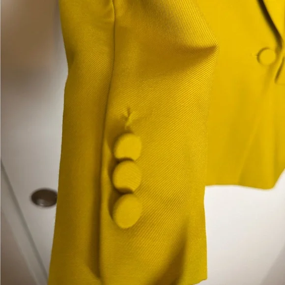 $750 AKNVAS HAUSER Double breasted mustard fitted blazer size 4 luxury - Picture 8 of 9
